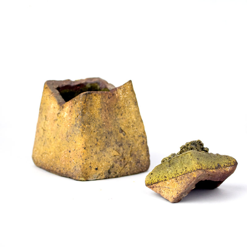 Large Lidded Rock
