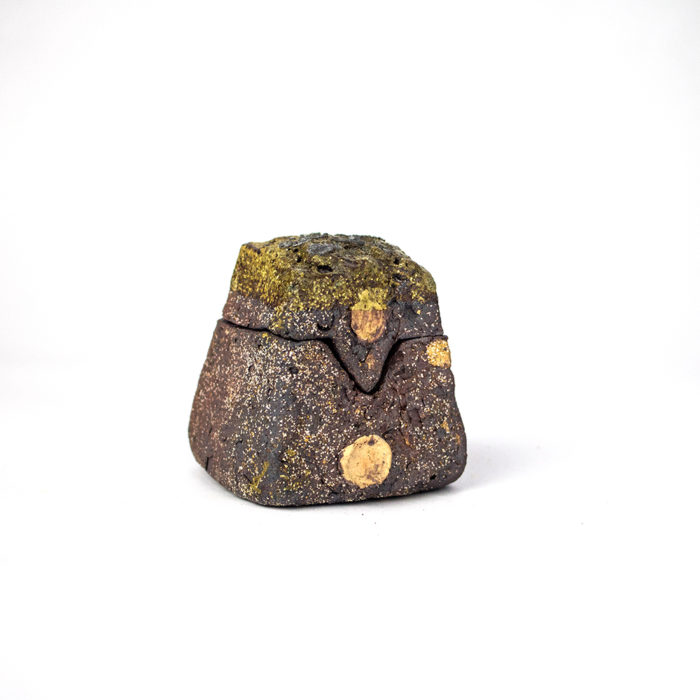 medium lidded rock