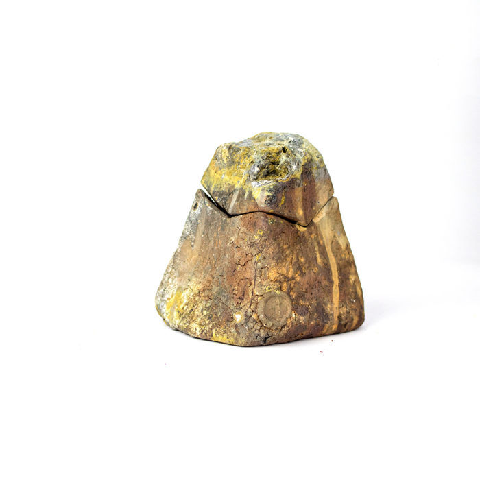 medium lidded rock